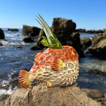 Load image into Gallery viewer, Lost's Petrified Puffer (Red) - Ceramic Tiki Mug, sculpted by Thor - Ready to Ship! (FREE SHIPPING in U.S.)